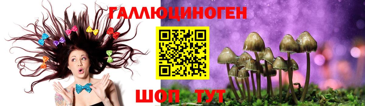 Псилоцибиновые грибы ЛСД  Галлюциногенные грибы Magic Shrooms  Вход с VPN  Апшеронск 