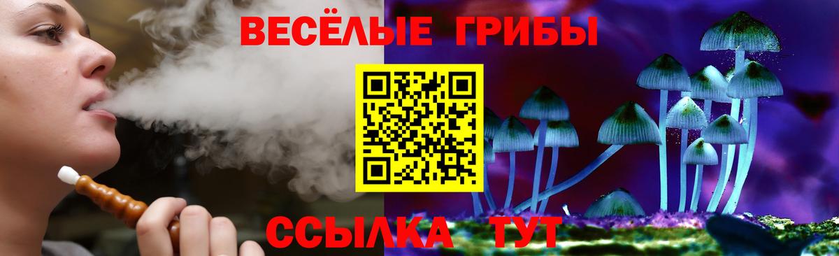 Псилоцибиновые грибы MAGIC MUSHROOMS Апшеронск