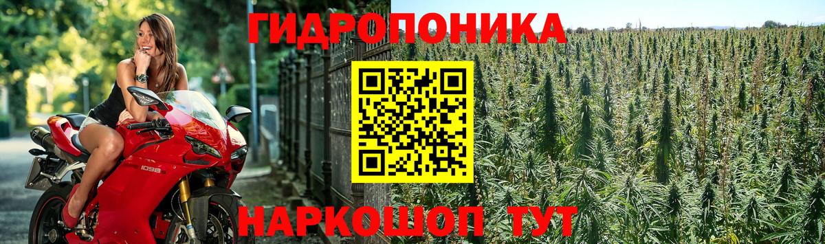 Конопля марихуана  Вход с VPN  Апшеронск  Бошки Шишки MAZAR 